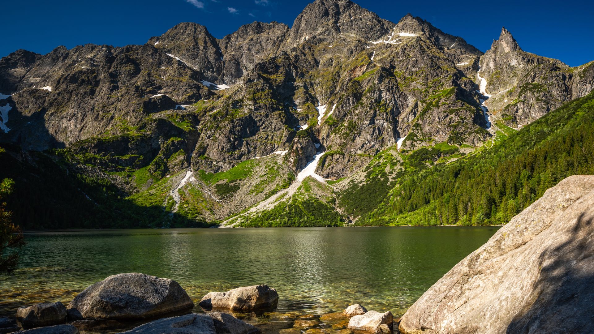 Projekt bez tytułuf